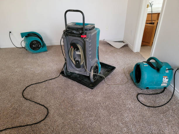 Best Water damage restoration near me  in Crystal City, TX
