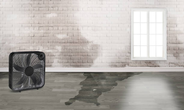 Best 24/7 water damage repair  in Crystal City, TX