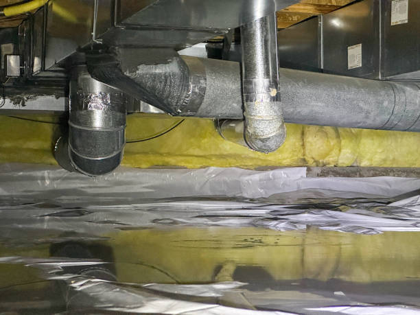 Best Basement water damage restoration  in Crystal City, TX