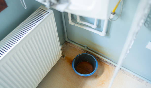 Best Ceiling water damage repair  in Crystal City, TX