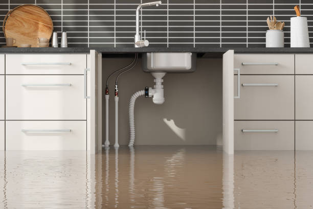 Best Water damage restoration near me  in Crystal City, TX