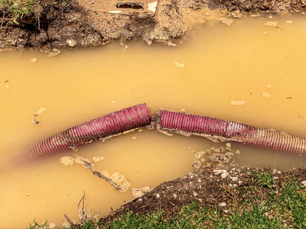 Best Water damage restoration mold remediation  in Crystal City, TX